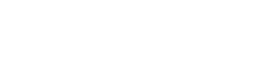 Neurolens Primary Logo Tagline White PNG
